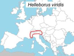 Distribuzione dell'Helleborus viridis