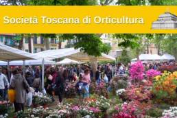 società Toscana di Orticultura 3