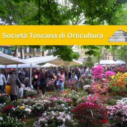 società Toscana di Orticultura 3
